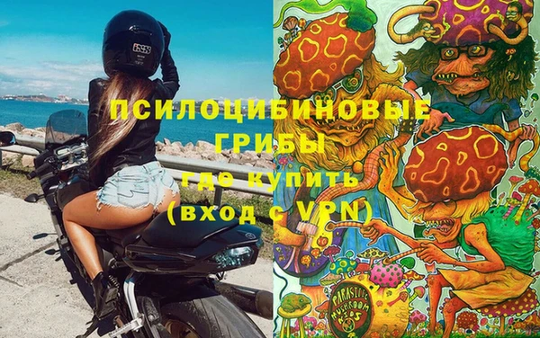 гашик Абинск