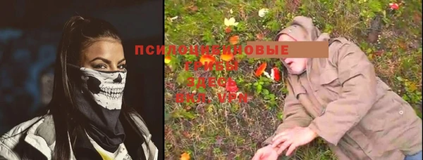 гашик Абинск